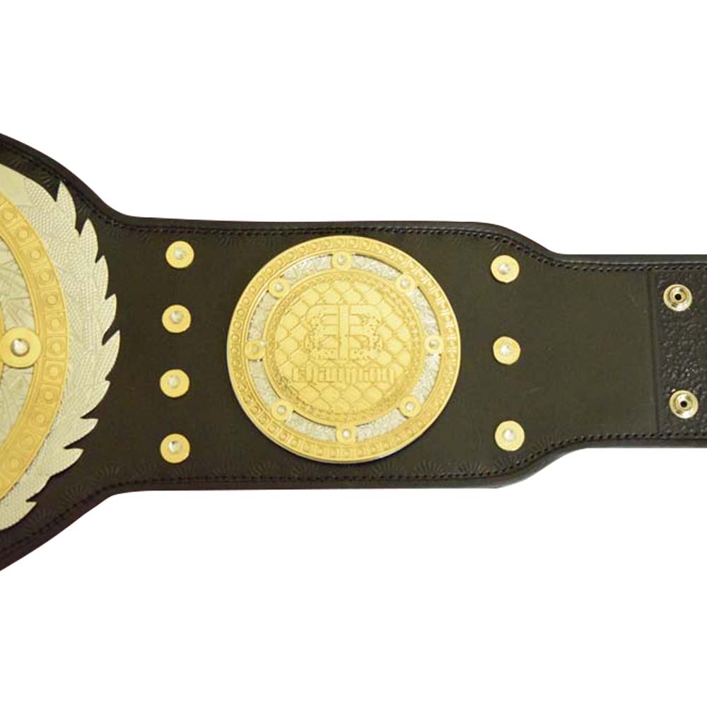 MMA Championship Belt