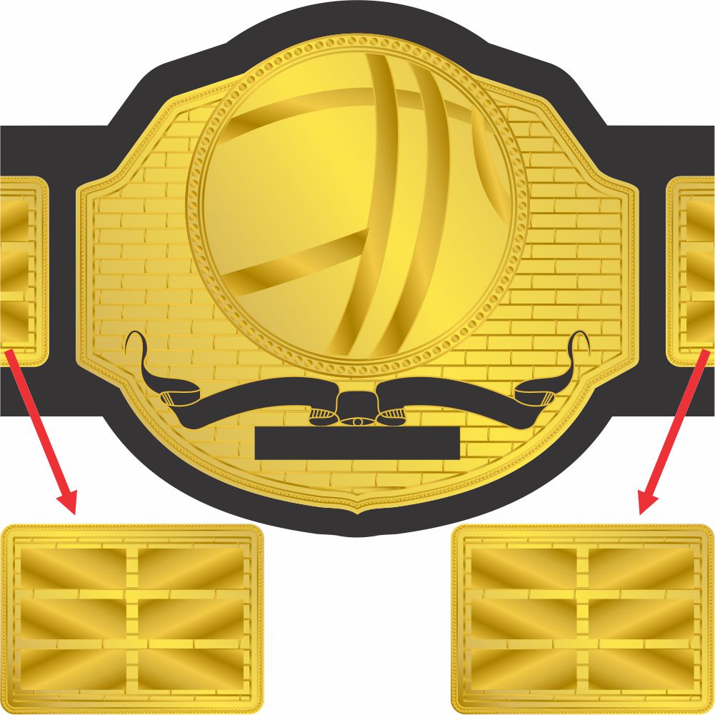 Basketball Championship Belt