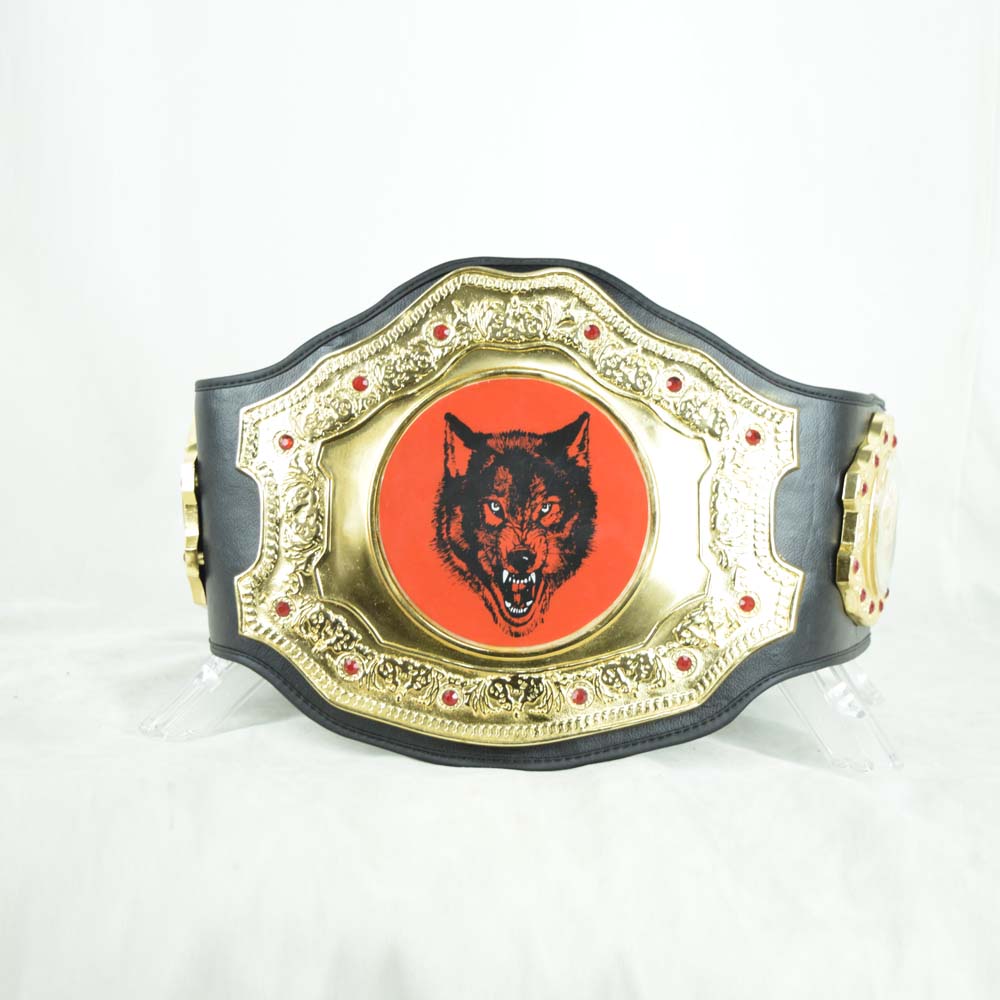 nwo wolfpac championship belt